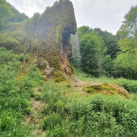 Alojamento de Turismo Rural Etno Domacinstvo Milenkovic