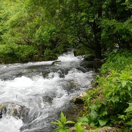 Alloggio per agriturismo Etno Domacinstvo Milenkovic Despotovac