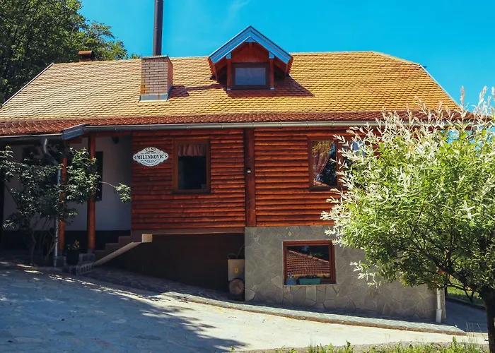 Etno Domacinstvo Milenkovic *