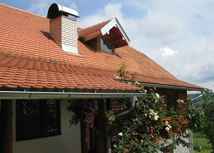 Etno Domacinstvo Milenkovic Despotovac