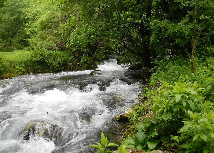 Agroturismo Etno Domacinstvo Milenkovic Despotovac