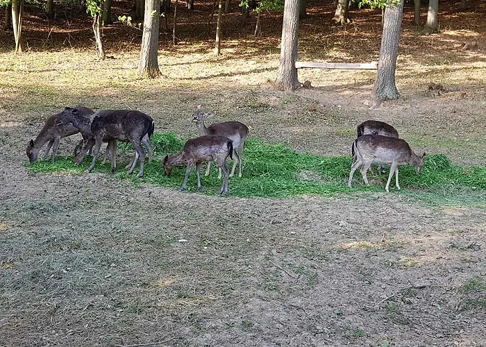 Etno Domacinstvo Milenkovic